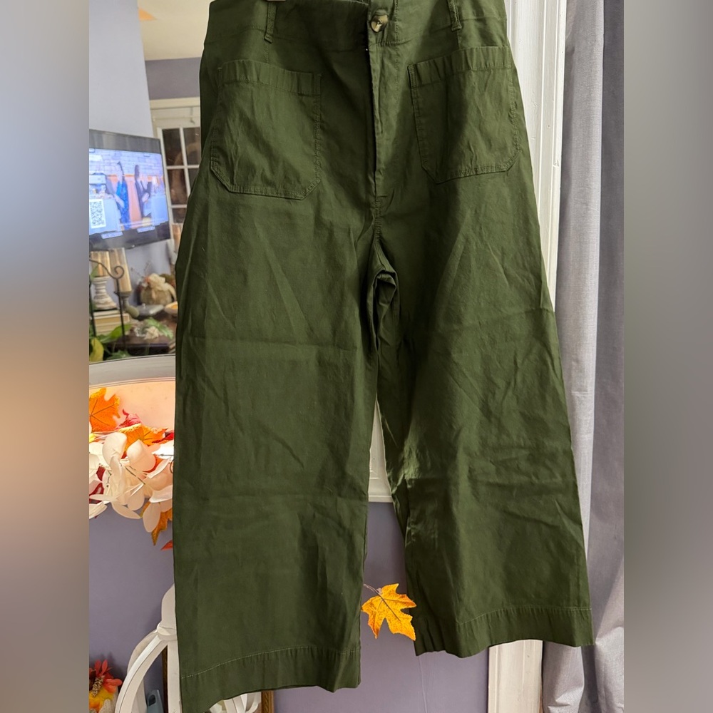 Anthropologie Forest Green Wide Leg Trousers